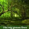 Din vag genom liven